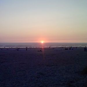 Meet your Posher, Delores